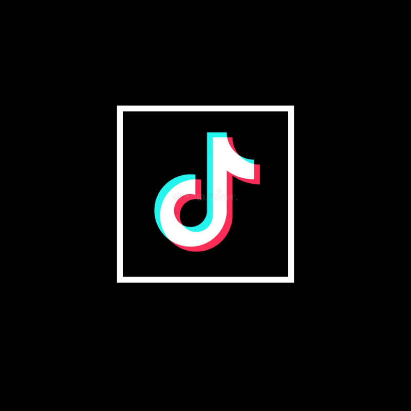 TikTok followers 250